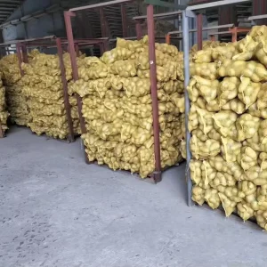 Fresh Potatoes Customized