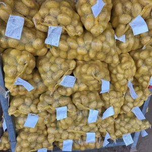 Fresh Potatoes New Crop