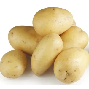 Fresh Potatoes for Export