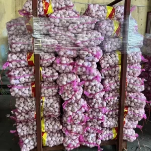 Fresh Pure Normal White Garlic Vegetables Price Optimum Brand Mesh Bags Top Grade Newest Crop Exported Shandong China