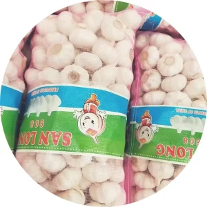 Fresh Pure White Garlic Price China Fresh Vegetables for Sale