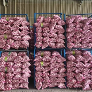 Fresh Pure or Normal White Garlic Fresh Vegetables Price Alho Ail Ajo Ajo Exported From China