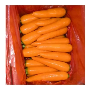 Fresh Red Carrot Seeds China