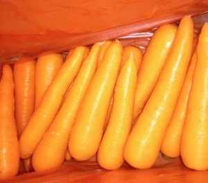 Fresh Red Carrot Size S M 150g 200g New Season Supply