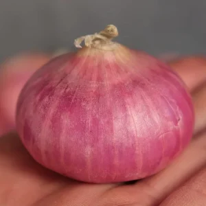 Fresh Red Onion Purple Skin Round Onion Bulk Fresh Vegetable Red Onion For Supermarket Restaurant Food Processing