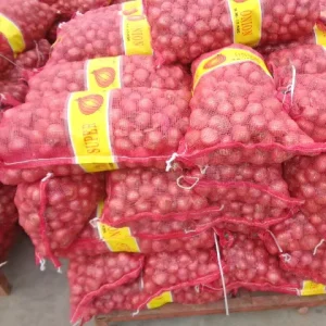 Fresh Red Onion With High Quality to Export for Yellow Onion 25kg Bag Onion Price