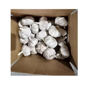 Fresh Shan Dong Garlic from China 4.5 6.0cm Export