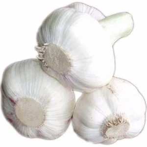 Fresh Style Peeled Dried White Garlic for Food Use