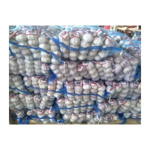 Fresh Vegetable New Crop Normal White Garlic Fresh Garlic Manufacturer Low Price Garlic