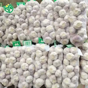 Fresh Vegetable Request for Quotation From China(Garlic Ginger Onion Potato)