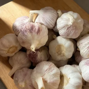Fresh Vegetables Bulk Fresh White Garlic Professional Supplier of Fresh Vegetables