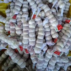 Fresh Vegetables Garlic Alho Ginger Onion Potato Supplier in China Price