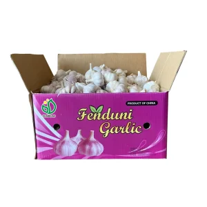 Fresh Vegetables and Fruits Exporter Sell Fresh Garlic in Qingdao Port