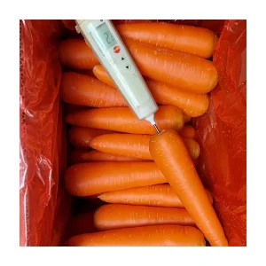 Fresh Vegetables and Fruits Natural Red Carrot Price Per Ton Carrot Seeds