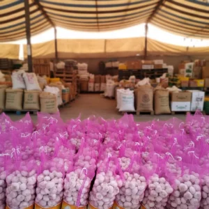 Fresh White Garlic Bulk Supplier China Factory