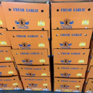 Fresh White Garlic China Fresh Garlic Fresh Vegetables Exporter Ajo Ail Export to Espana Best Quality Alho Chinos