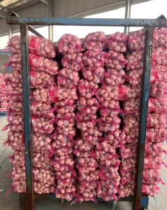 Fresh White Garlic China Reliable Supplier Bulk Fresh Garlic Ajo Chino Ajos Frescos Fresh Vegetables