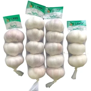 Fresh White Garlic China Supplier Halal Normal Garlic One Head of Fresh Vegetables