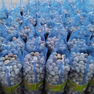 Fresh White Garlic Chinese Garlic Manufacturer