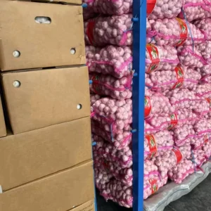Fresh White Garlic Factory 10kg 20kg Mesh Bag Carton China Garlic Supplier And Fresh Peeled Garlic Exporter