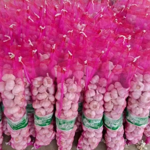 Fresh White Garlic From Shandong China Top Grade Mesh Bag Packaging Exporter