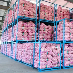 Fresh White Garlic Supplier