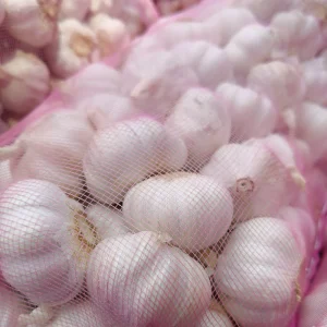 Fresh White Peeled Garlic Bulk Supply