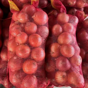 Fresh Yellow Onion Big Onion for Export