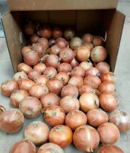 Fresh Yellow Onion Chinese Fresh Red Onion Fresh Vegetable Onions