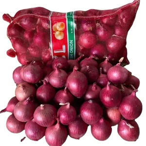 Fresh Yellow Onions From China Bulk Onion Price Peeled Onion for Sale