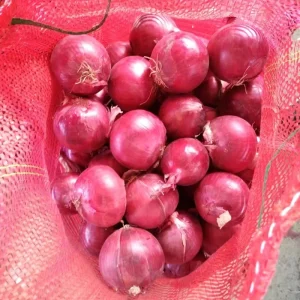 Fresh Yellow Onions From China Supplier in Onions China Import Fresh Onions for Sale