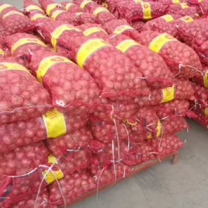 Fresh Yellow Red Onion GLOBAL GAP Certified Per Ton Factory Onion Chinese Onion Supplier