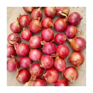 Fresh Yellow and Red Onions 50kg Vegetable Bags Supplier