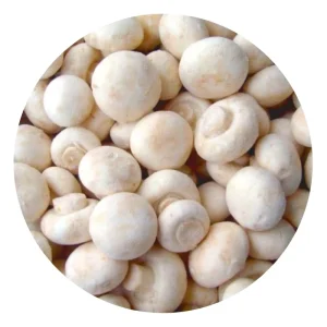 Fresh and Frozen Champignon and Matsutake Mushrooms Whole or Sliced IQF