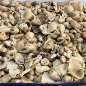 Freshly Sliced Straw Mushrooms in Salt Brine Canned Vegetables with Water Processed Chop Style Preserved Pickling