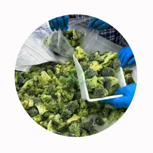 Frozen Broccoli Florets 2.5kg x 4 Cartons for Grocery Retail and Frozen Vegetable Distributors