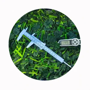 Frozen Organic Fresh Chopped Spinach Chunk Block Direct Price IQF Certified