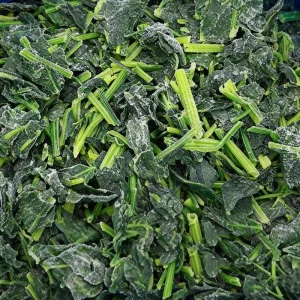 Frozen Spinach Chopped Vegetable HACCP Certified Bulk Packaging 24 Months Shelf Life Price Good Price