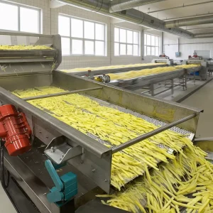 Fully Automatic Fruit and Vegetable Potato Chips and French Fries Making Machine with Fryer and Customizable Cutter