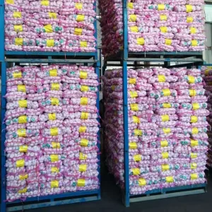G1 Chinese White Garlic Ajo Alho Supplier Fresh Garlic Manufacturer
