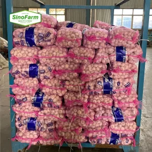 Garlic Fresh Alho China White Garlic Ajo Fresco Fresh Vegetables Fresh Peeled Garlic China Supplier For Export