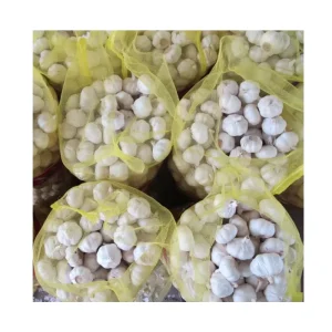 Garlic Fresh Alho China White Garlic Ajo Fresco Fresh Vegetables Fresh Peeled Garlic China Supplier for Export