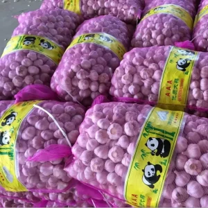 Garlic Fresh Vegetables Normal White Garlic in Bulk Chinese Red New Crop Big Head Ajo Garlic Bawang Putih