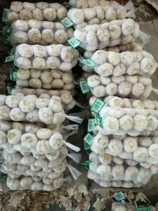 Garlic From Jin Xiang Chinese Normal White Fresh Garlic