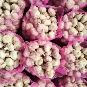 Garlic Manufacturer Bulk Package Organic Fresh Garlic for Frying Vegetables