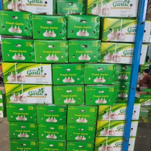 Garlic Price in China Natural White and Pure White Fresh Garlic Fresh White Garlic Vegetable Ail Frais Alho Ajo