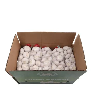 Garlic Vegetables 1kg bag Fresh Garlic Ail in 10kg Carton