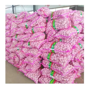 Good Price 5cm Fresh White Garlic with GLOBAL GAP&ISO9001 Newest High Quality Green Vegetables Export