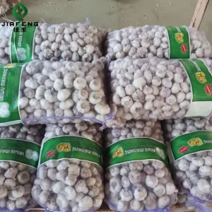Good Price Chinese Fresh White Garlic for Fresh Vegetables in 20kg Mesh Bags cartons Factory Price Fresh White Garlic