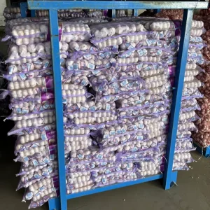 Good Price Fresh Pure White Chinese Garlic Fresh Vegetables Exporter Ajo Chino Export to Espana Best Quality Alho Chinos